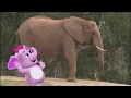 Baby Genius Songs Baby Elephants