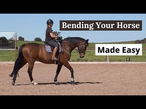 YouTube video about: How to get your horse to bend?