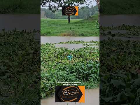 Atualização da Cheia do Rio gongogi em Iguaí-Ba