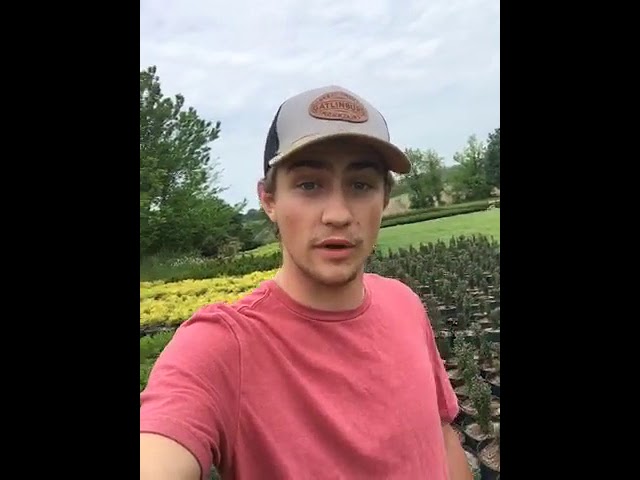 Will Tolley (2019 - 2020 Scholarship Recipient) Video Preview