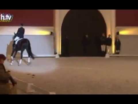 Die Große Hengstgala 2012 lockte wieder viele Besucher an.