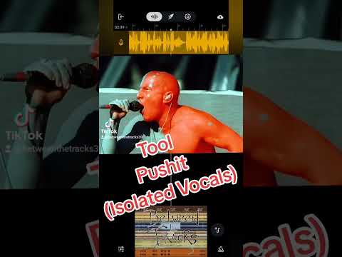 Tool - Pushit (Isolated Vocals) #isolatedvocals #tool #maynardjameskeenan