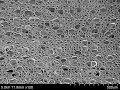 Wood That's Stronger Than Steel and 6 Times Lighter