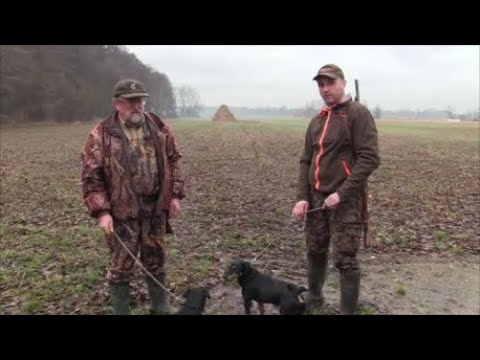 Spotkałem myśliwych - odcinek 182   Z norowcami na lisa