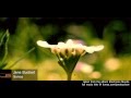 Jens Buchert - Sonica 