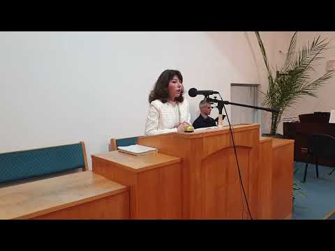 Mina Steinberg - Kuća u glavnoj ulici