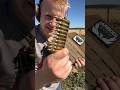 Can My Body Armor Stop Green Tip 556 Gun Bodyarmor Ar500