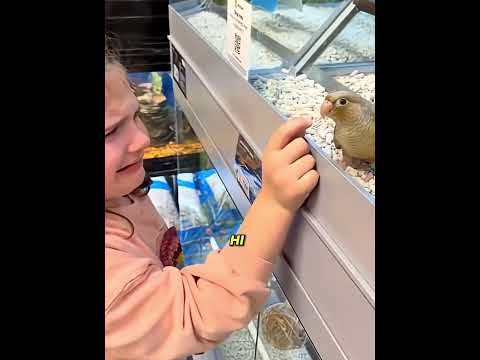 She Found Her Lost Bird After 3 Months… But No One Believed Her