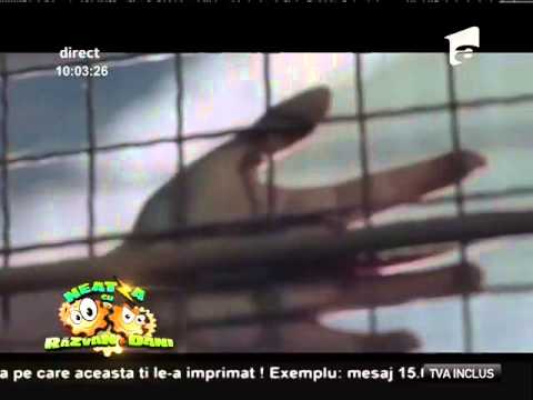 Soundland feat. Alexandra Ungureanu - "Atât de uşor"