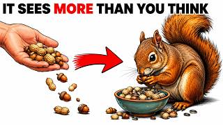 WHAT A SQUIRREL REALLY  SEES WHEN IT LOOKS AT YOU