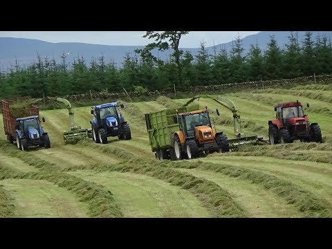 Cumbrian Silage - Lifting Grass with TWO Trailed Class 62s & NHs, MFs, Case & Renault - Silage 2019