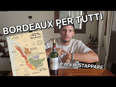 BORDEAUX per me, per te, per TUTTI 🍷🔥👀
