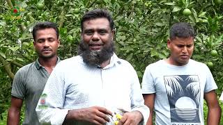 মাল্টা বাগান, লালপুর, নাটোর