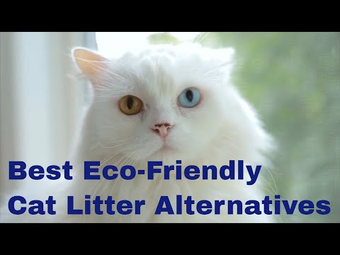 Best Eco Friendly Cat Litter Alternatives