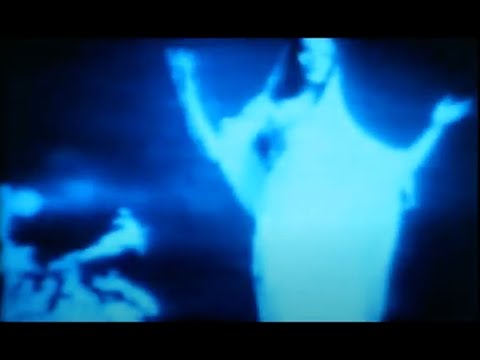 The Fibonaccis - "The Snap"