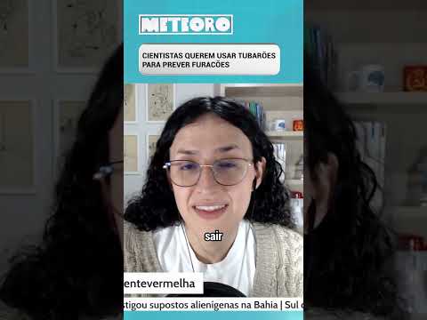 CIENTISTAS QUEREM USAR TUBARÕES PARA PREVER FURACÕES