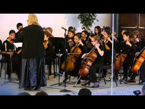 Amadeus by Prelude Chamber Strings 2013