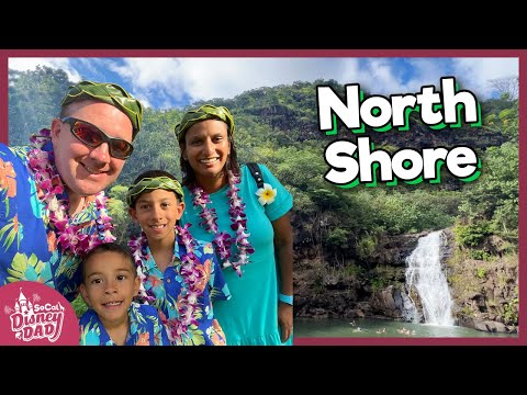 Dole Plantation, North Shore Food, Waimea Valley Hike & Toa Luau