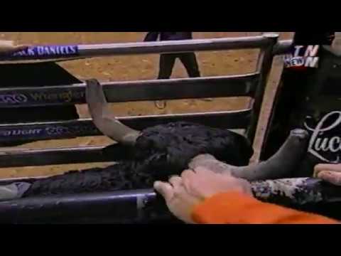 Hammer Time bucks Brian Herman - 02 PBR Finals