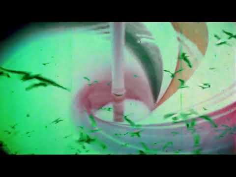 Fubu x Flitz&Suppe - Beißreflex (Instrumental) [Visual]