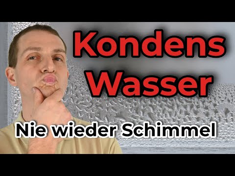 Tips to Avoid Mould Problems - Prevent Condensation | ImmoTrainer Hauswart Wetzikon