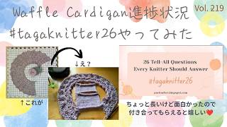 日々色々 🌸色 Vol. 219 from Boston 🇺🇸 #tagaknitter26