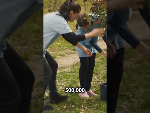 Surprising Facts About McDonald's Remediation! #bombfactai #facts #mcdonalds