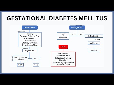 Gestational Diabetes Mellitus Explained