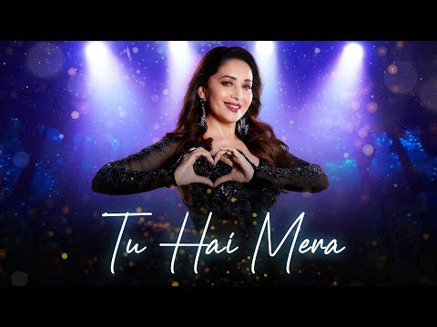 Madhuri Dixit Net Worth 2022 - Rs 263 Crores; Movies + Endorsement Fees |  Instant Bollywood