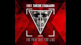 Suicide Commando - The Pain That You Like (C-Lekktor Remix)