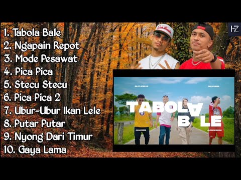 Kumpulan Lagu Timur Viral 2025 – Santai & Bikin Goyang