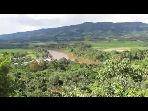 Forests for the most endangered primate in Peru