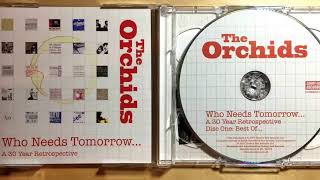 The Orchids - Underneath The Window, Underneath The Sink (2017 Version) (Audio)