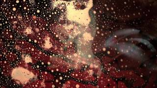 Single Wing Turquoise Bird : Excerpt Two from Invisible Writing