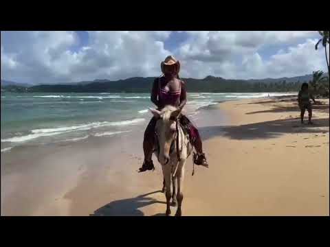 Horseback riding in #Samana, near #LasTerrenas, #DominicanRepublic.