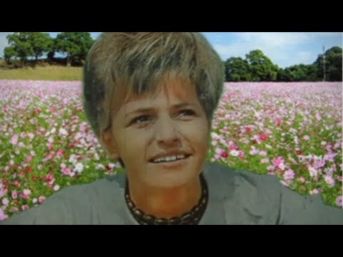 REJHANA OSMANCEVIC ___ Moj dilbere