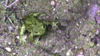 editors - Bricks and Mortar