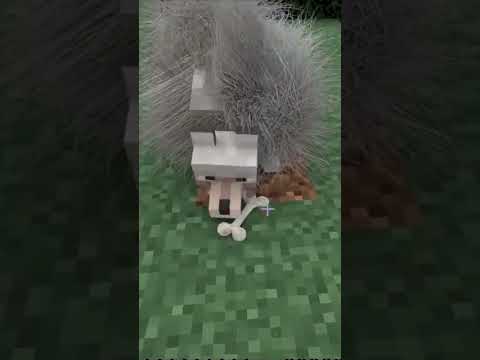 DOGI GAMES - The most disheveled Wolf in Minecraft #shorts #viral #Minecraft #anime #meme