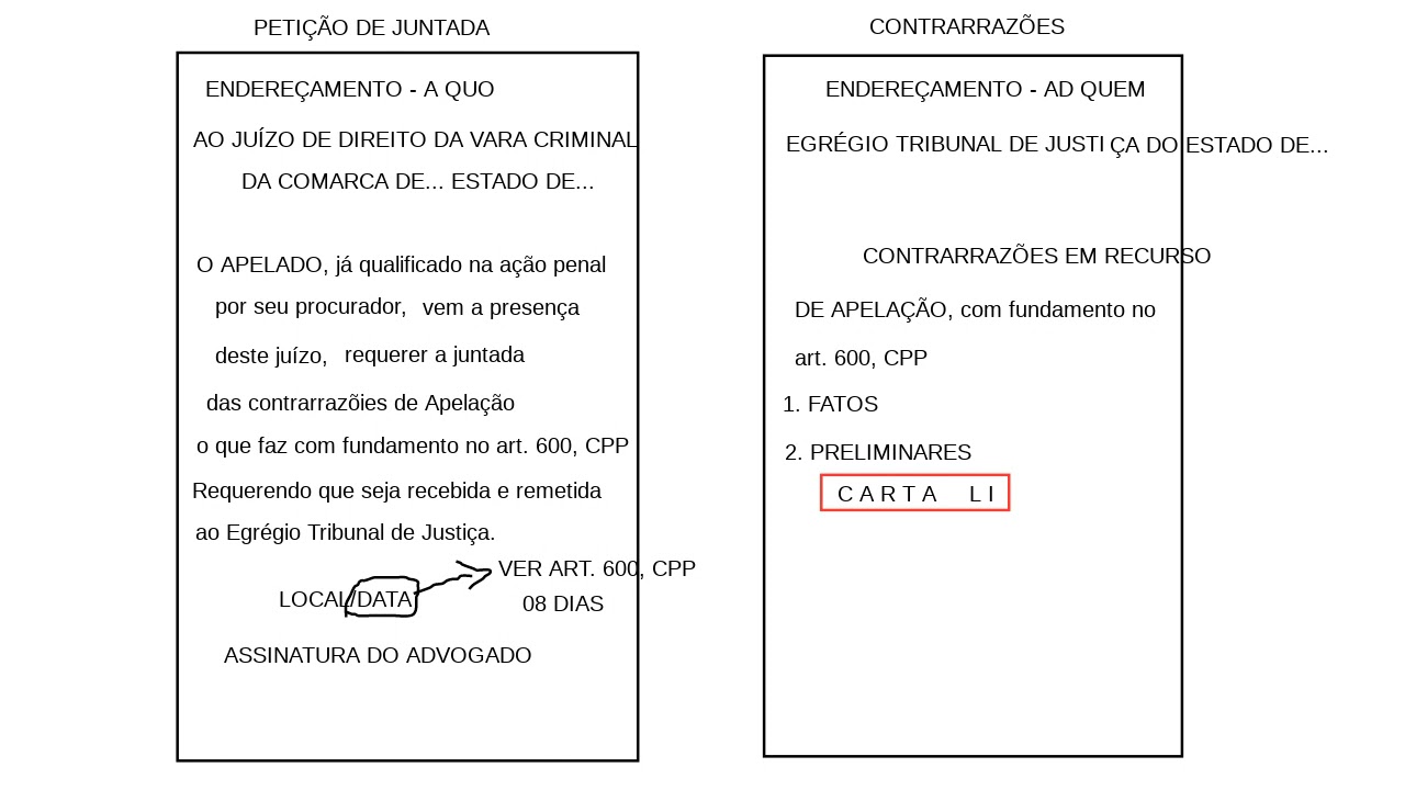 CONTRARRAZÕES EM APELAÇÃO