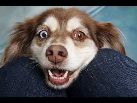 Interstate feat. Colleen Kelly - I Found You (Harry Lemon 8 Remix) 432Hz HQ