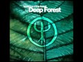 Deepforest - Will you be ready 