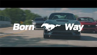 [오피셜] The All-New 2024 Ford Mustang Launch Film 30s