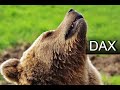 Dax Analyse 04 04 2025