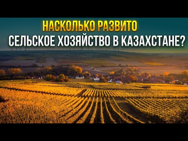 Насколько развито сельское хозяйство в Казахстане?
