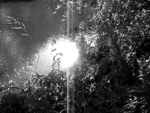 Sonne Hagal - Who Has Seen The Wind