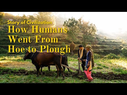 How Humans Went From Hoe to Plough | The Evolution of Agriculture | Story of Civilization