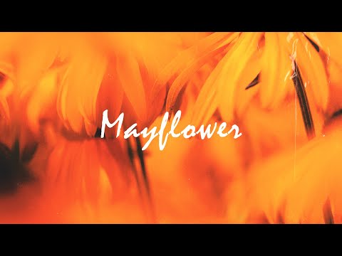 [Sold]Pop Type Beat x Justin Bieber Type Beat "Mayflower" Khalid x R&B instrumental 2021