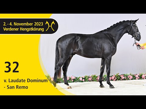 Verden Stallion Licensing 2023 - Dressage - Nov. 2-4 - No. 32 Stallion by Laudate Dominum - San Remo