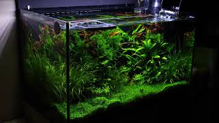 Miniatura filmu z YouTube