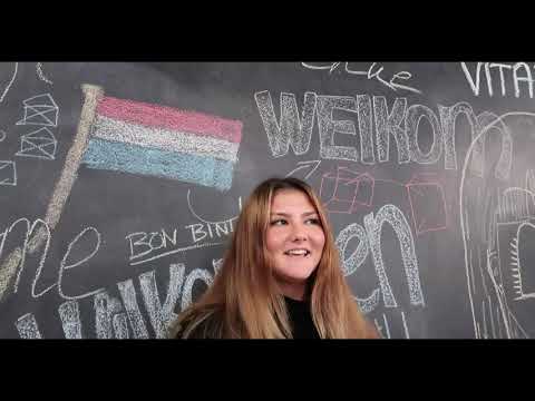 The Student Experience at European Studies: Year 1